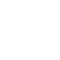 Tamara Zion Coaching